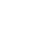 v2 (1)